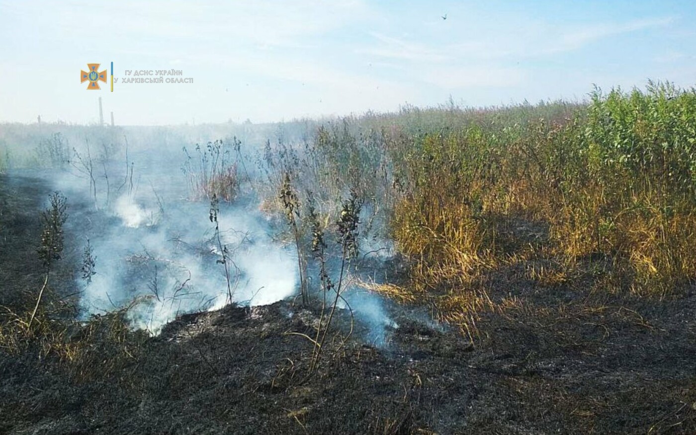 На Харьковщине за последние сутки спасатели тушили три десятка пожаров на открытых территориях, - ФОТО, фото-2
