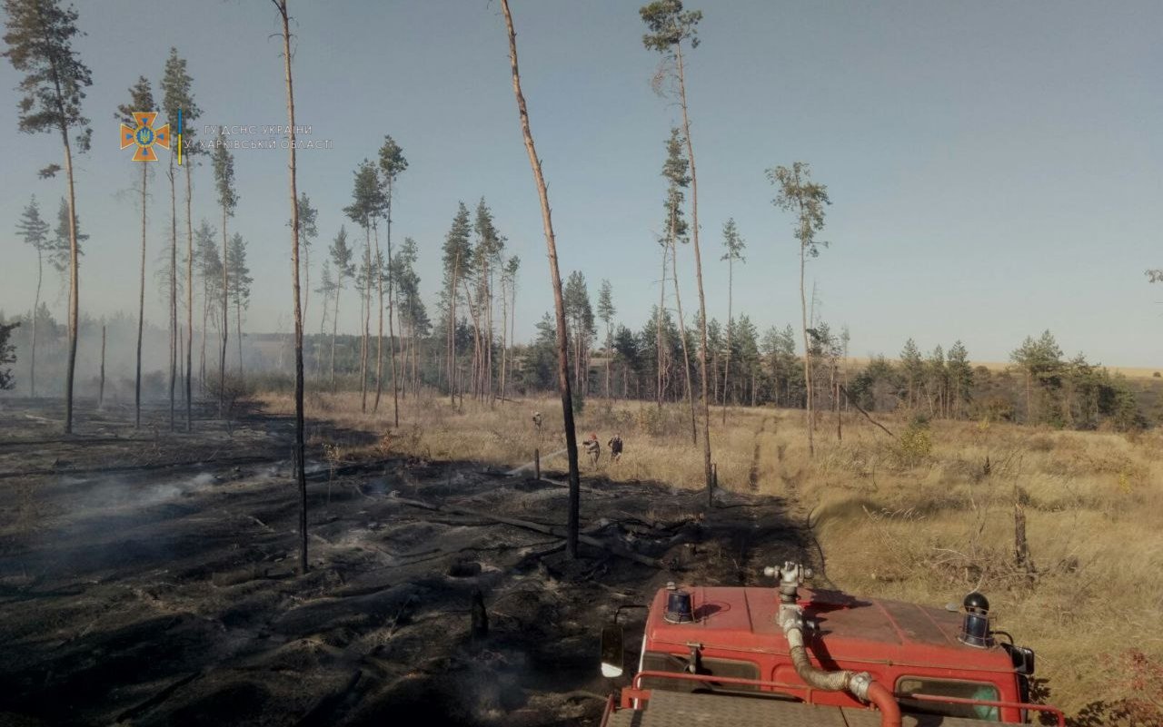 На Харьковщине загорелся хвойный лес: из-за сильного ветра спасатели почти сутки тушили масштабный пожар, - ФОТО, фото-5