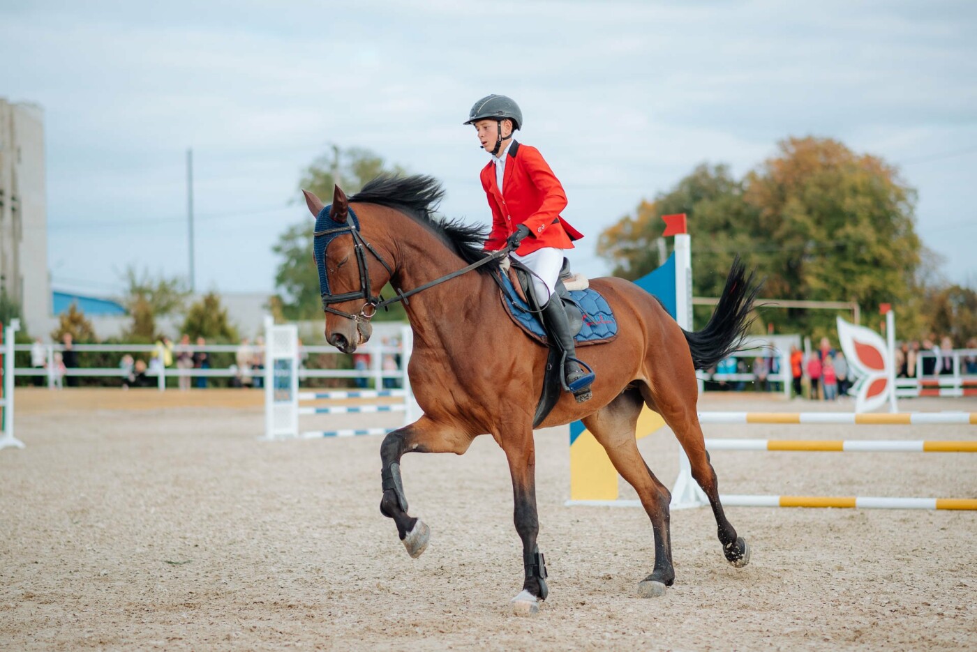 Horses Spirit