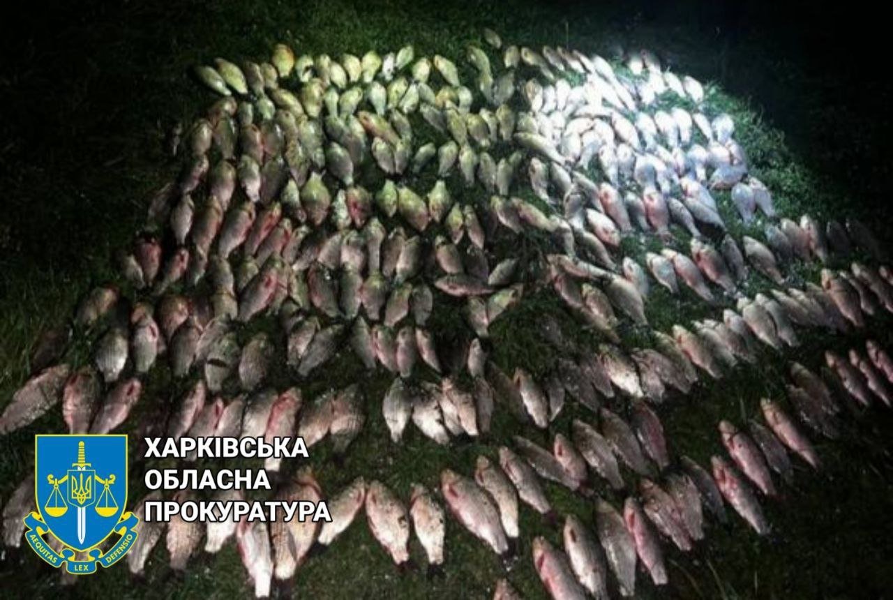 Незаконно виловив рибу на пів мільйона гривень: на Харківщині суд виніс вирок браконьєру, - ФОТО