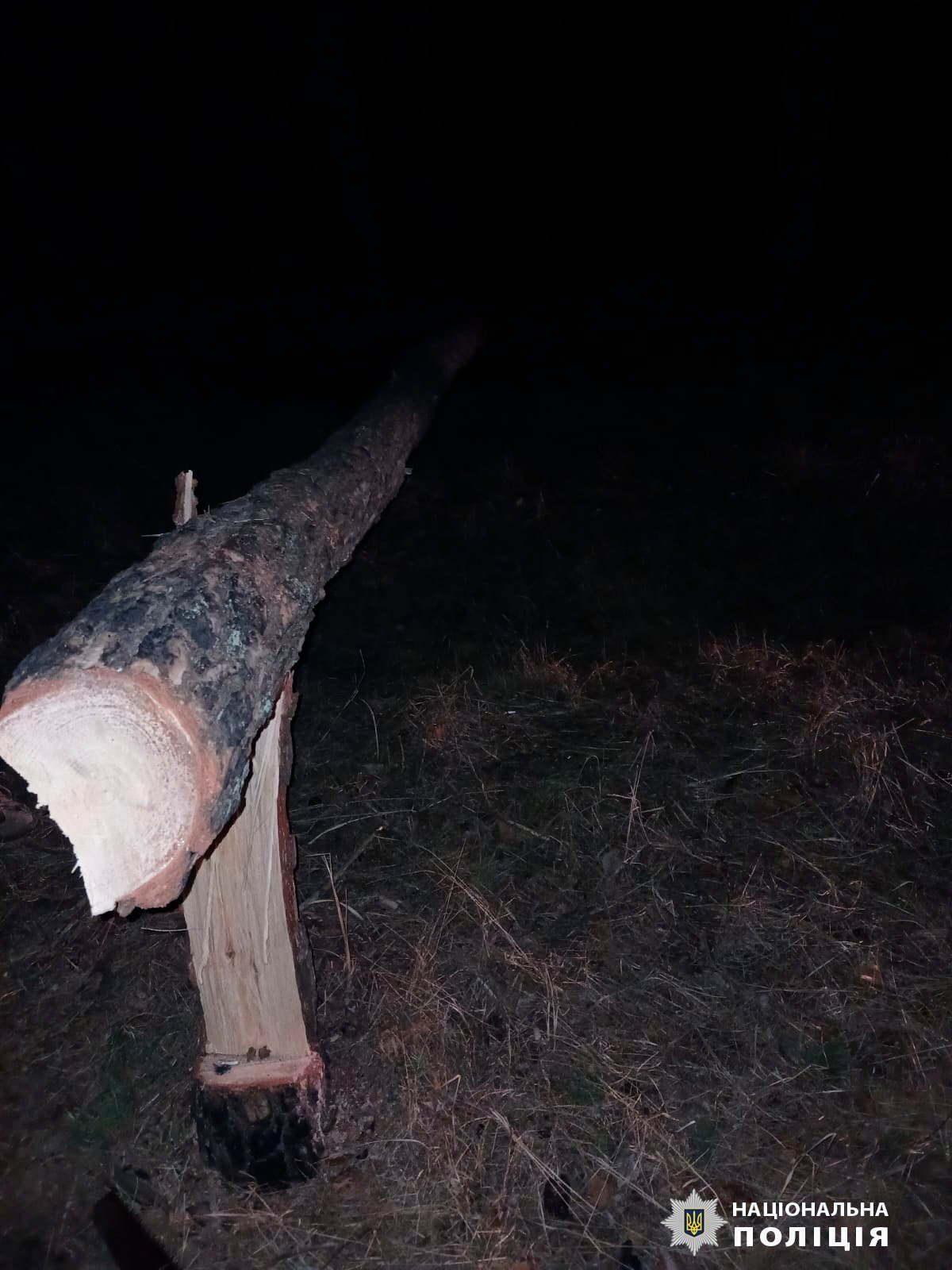 В Малиновской гроаде дрон нашел браконьера. Фото: Нацполиция Харьковщины