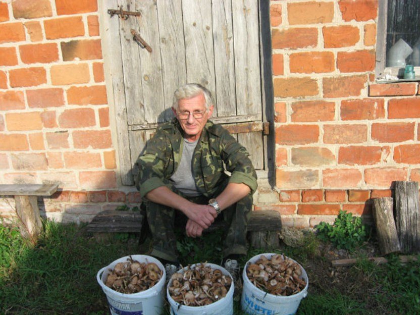Снимок-2