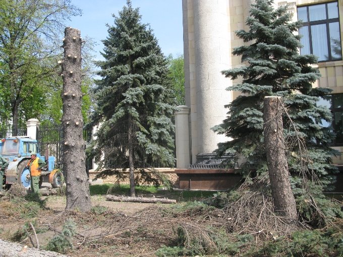ели2 ели2