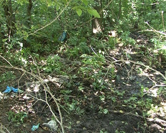 PM209image002