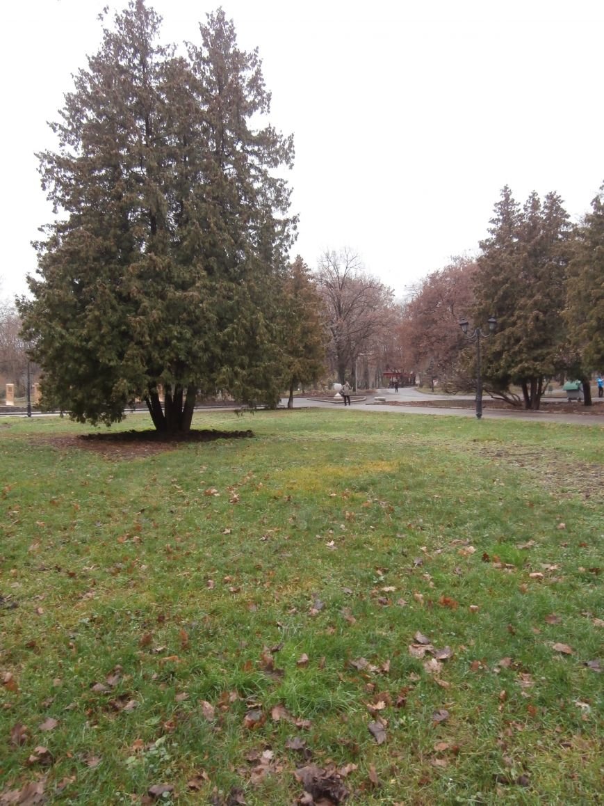 PB132900